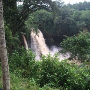 Meet your Posher, Carmen